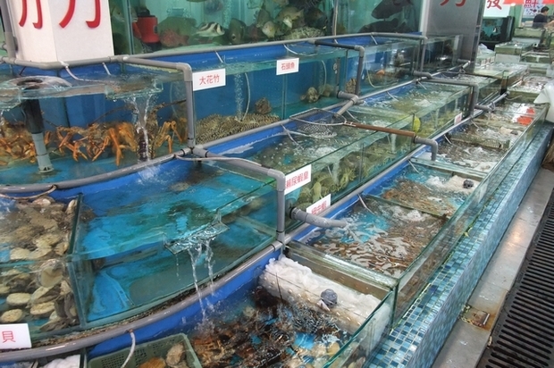 海鮮水產批發生意怎么做