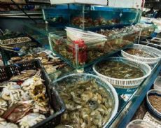 南京農副產品批發市場大全