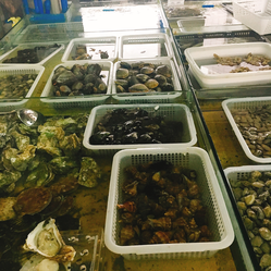 成都農產品中心批發市場海水產交易區地址,電話,營業時間-雙流區生活服務-大眾點評
