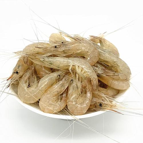  食品飲料 鮮活水產品 魚類 小魚小蝦批發收購,蝦批發市場進貨