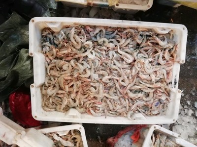 海頭蘇魯水產品批發市場