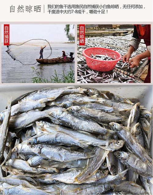鮮活水產品 魚類 新鮮小白魚批發,白條魚批發多錢一斤,大量收購白條魚