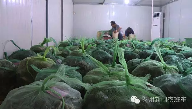 據了解,龍騰水產品市場是興化市螃蟹交易市場之一,高峰期能達到每天40