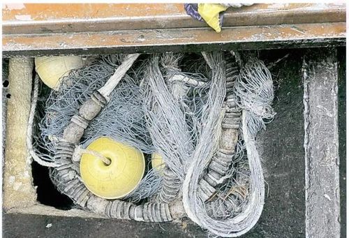 "長江禁捕"背后的檢察力量:禁漁期內非法捕撈水產品,9人獲刑!