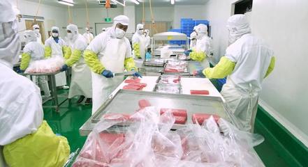 上海水產(chǎn)利用國(guó)際漁業(yè)資源,以遠(yuǎn)洋捕撈為核心著力于打造“全球的魚(yú),中國(guó)的菜”