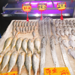 成都農(nóng)產(chǎn)品中心批發(fā)市場(chǎng)海水產(chǎn)交易區(qū)地址,電話,營(yíng)業(yè)時(shí)間-雙流區(qū)生活服務(wù)