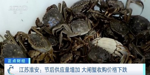 "錯(cuò)峰"吃蟹正當(dāng)時(shí)!節(jié)后螃蟹身價(jià)落,規(guī)格越大降越多