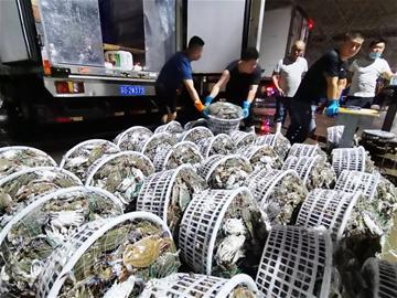 探訪城陽水產品批發市場:每天30萬斤螃蟹進青 一日之計在于“搶”