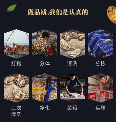 乳山生蠔廣東豐順批發 生蠔怎么做好吃又營養