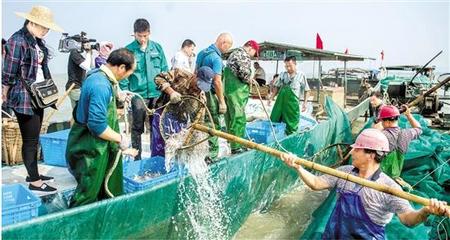 是禁漁還是退捕?見證太湖最后的傳統捕魚季