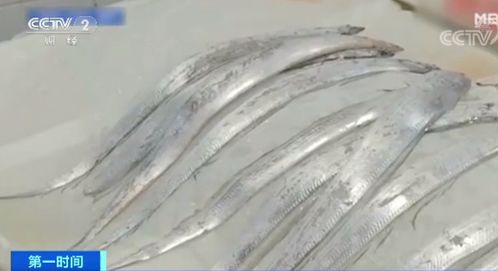 一棵大白菜賣24元 伙食費竟成家庭支出最大占比...這里發生了什么