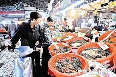 湖北武漢“螃蟹大軍”進城 收購價比往年高2成 - 內銷市場 - 中國水產頻道 | 網聚全球水產華人