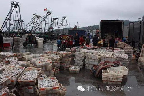 投資1.3億元 廣東陽江閘坡水產品交易物流中心將成新熱點