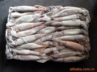 魷魚原料 本地魷魚 15000(g)