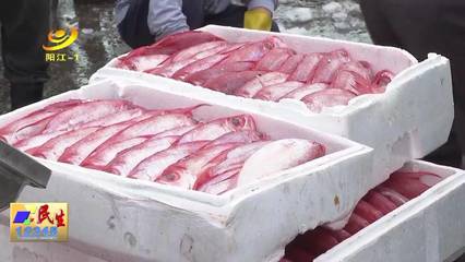 閘坡漁港:大型作業漁船回港 魚貨上場量達300噸