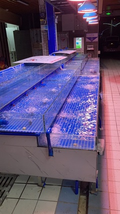 臺山生蠔養殖戶一手資源,收購批發商福利