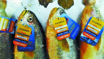 農業部將實現水產品單體可追溯 從池塘到餐桌 全過程追溯管理