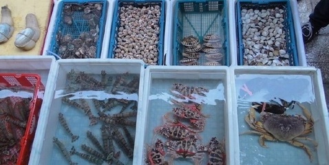 海鮮水產批發生意怎么做
