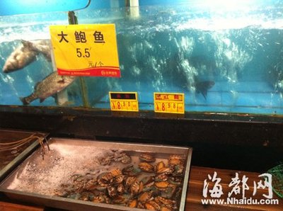 福州鮑魚商租冷柜囤貨賭對行情 鮑魚近半月一噸漲萬元