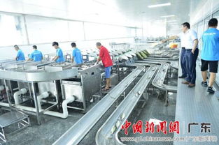 廣東推廣鮮活水產品安全運輸模式 助力漁業提質增效