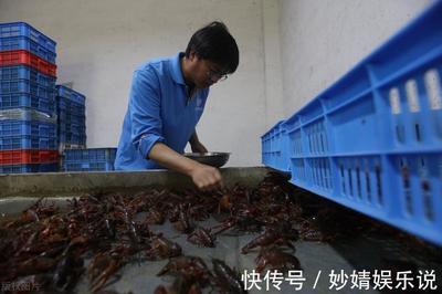 水產(chǎn)品大漲12%:魚價集體"破10",小龍蝦更"瘋"!咋回事