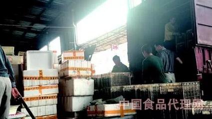 水產市場上有人專門回收死龍蝦,死龍蝦都去哪了?-食品安全-中國食品代理網