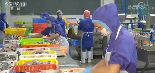 上半年“菜籃子”保供觀察 | 禽肉、水產品產銷秩序基本恢復