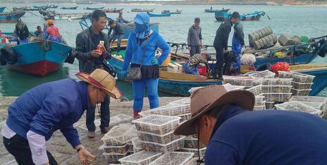 福建這個島相當有特色,當地人一條漁船可以買小城市一套房