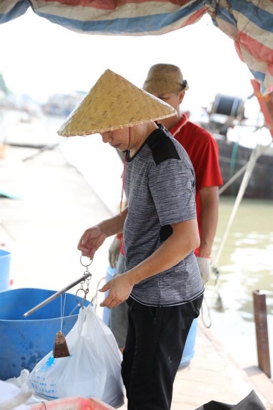 開漁啦!南沙321艘海洋漁船陸續出海