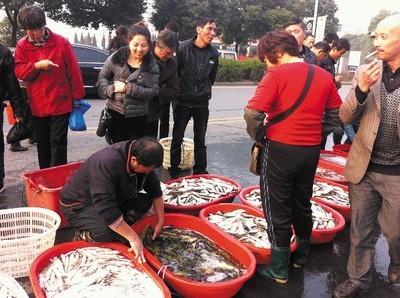 “水產早市”堵了半條進城大道--德清新聞網