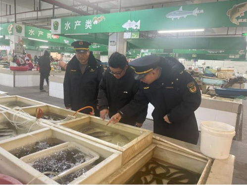 規范市場經營秩序 嚴把水產品質量關