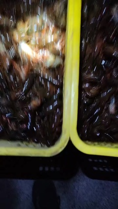 凡希亞水產