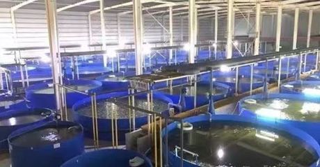 此會首次召開!今天全國現代設施農業聚焦看青島