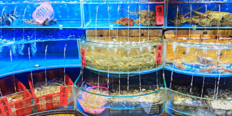普蘭店水產品價格_專賣店_哪里買