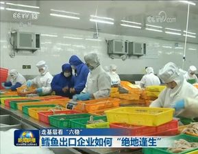 今晚,青島膠州一家水產企業上了央視新聞聯播 足足3分鐘 表揚 ,被點名的還有