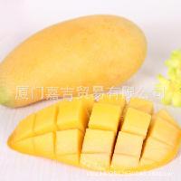 水仙芒價格 型號 圖片