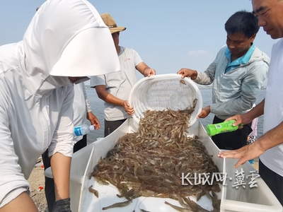 南大港:特色水產養殖迎來了第一期“收貨季”