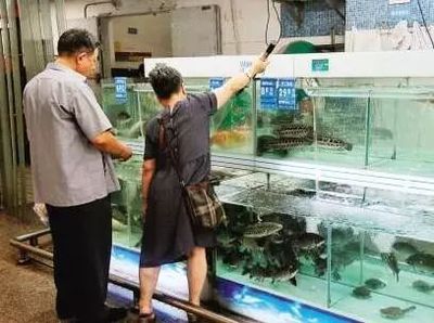 產地標識+檢測報告--佛山淡水鮮活水產品質量安全監管升級加碼