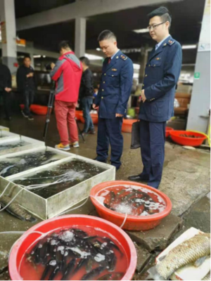 “魚販”頂風作案 沅江市市場監管局開16000元罰單