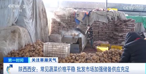 寒潮天氣下菜價平穩 各地是如何保障 菜籃子 量豐價穩的