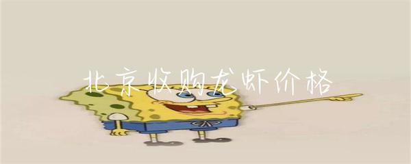 北京收購龍蝦價格