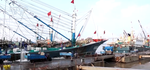 曬柿餅、捕帶魚 時令果蔬銷售旺 展現冬日繽紛好"豐"景