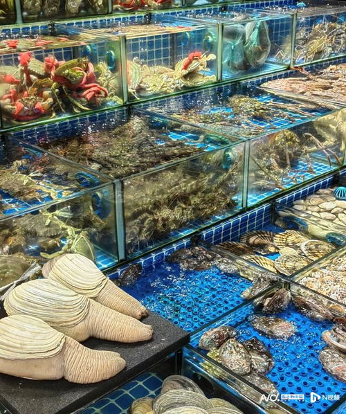 老廣年貨圖鑒 堅果 禽類進貨量激增,海鮮 年宵花購銷兩旺