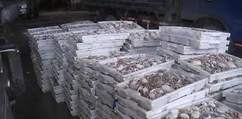 且吃且珍惜!近期部分新鮮漁貨價格最高上漲20%
