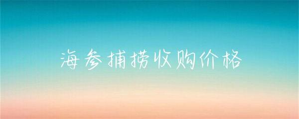 海參捕撈收購價格