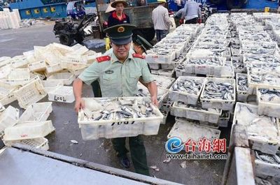漳州:船回港魚滿艙 水產品豐富起來價格漸走低(圖)