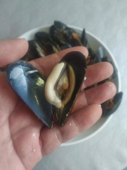 買海虹,掂量沉重 看大小 老水產人 都不對,只需1招就夠用