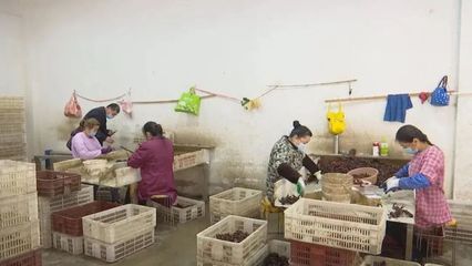 【城市】漢川到上海---自主順風(fēng)車專區(qū)/漢川交通公路建設(shè)項(xiàng)目按下“復(fù)工鍵”/漢川劉家隔鎮(zhèn)市場監(jiān)管所助力經(jīng)營業(yè)主有序恢復(fù)營業(yè)…